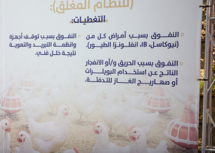 Under the Patronage of H.E. Minister of Agriculture Professor Rizq Salimiya: Announcement of the Launch of Agricultural Insurance Services at ARMT