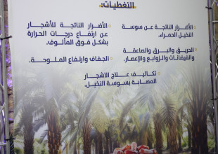 Under the Patronage of H.E. Minister of Agriculture Professor Rizq Salimiya: Announcement of the Launch of Agricultural Insurance Services at ARMT